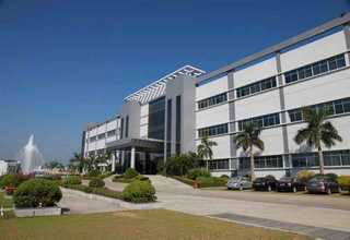 新款办公室绿化厂家直供